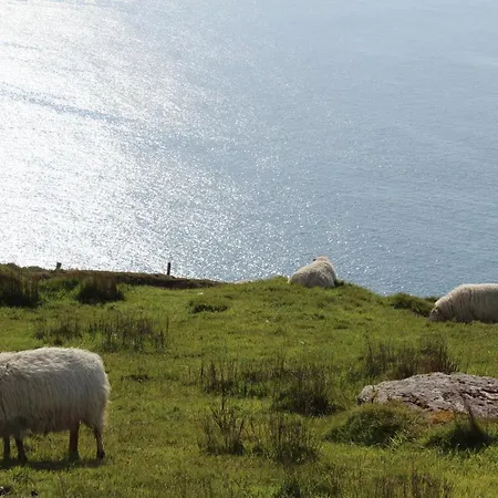 Skellig Wild Atlantic Way 10 * Dungeagan