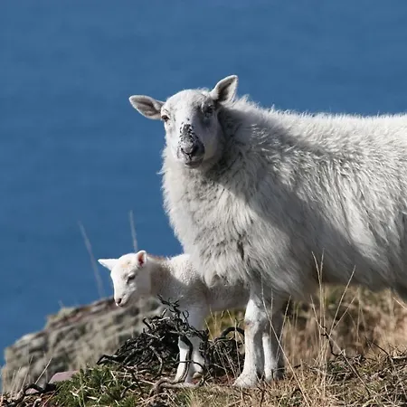 Skellig Wild Atlantic Way 10 Apartment
